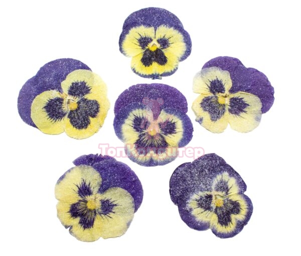 Засахаренный Обезвоженный съедобный цветок "Северная бабочка" 6 шт